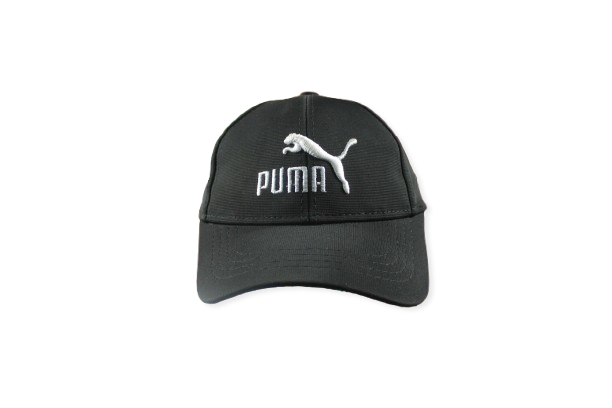 Puma Embroidered Cotton Cap - H100