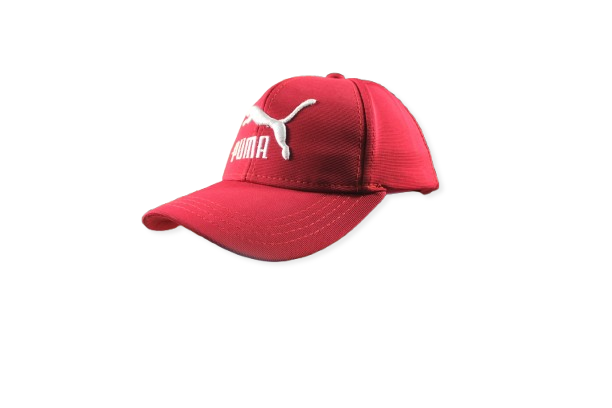 Puma Embroidered Cotton Cap - H100